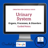 Urinary System: Organs, Processes, & Disorders Guided Note
