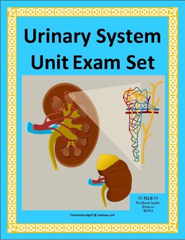 Preview of Urinary System Unit Exam Set A & B