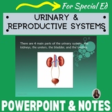 Urinary and Reproductive Systems PowerPoint and notes for 