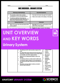 Preview of Urinary or Excretory System Anatomy Unit Overview and Vocabulary Key Words
