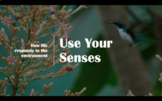 Use Your Senses! How life responds to the environment. Pre