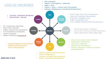 Preview of Uses of Microbes - Diagram