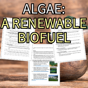Preview of Using Algae as a Renewable Biofuel - Printable Worksheet