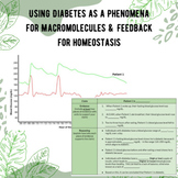 Using Diabetes as a Phenomena for Macromolecules & Feedbac