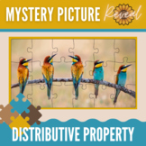Using Distributive Property - Mystery Picture Bee-Eating B