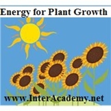 Using Energy From the Sun: Energy for Plant Growth (Week F