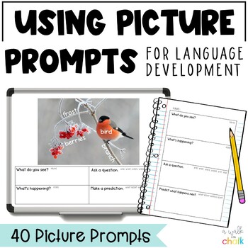 Preview of Using Picture Prompts for English Language Development | ESL Activities