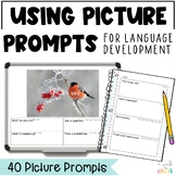 Using Picture Prompts for English Language Development | E