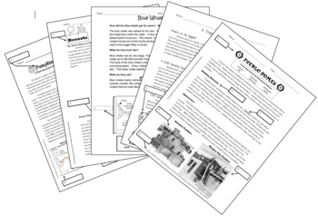 Preview of Using Text Features Worksheet BUNDLE (5 handouts)