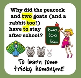 Using Two, Too, & To Grammar PPT + Printables