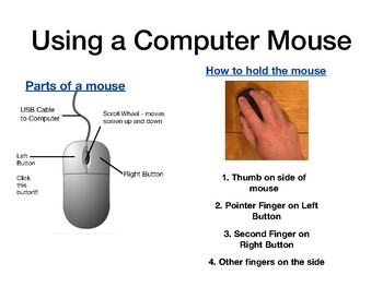 describe mouse