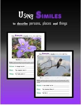 Preview of Using SIMILES to describe Persons, Places or Things (Nouns)