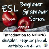 ESL Newcomers ELL Beginners Grammar - Introduction to Nouns 1