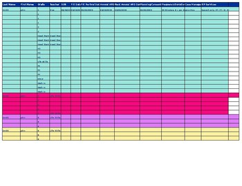 Preview of Ultimate Caseload Management Spreadsheet