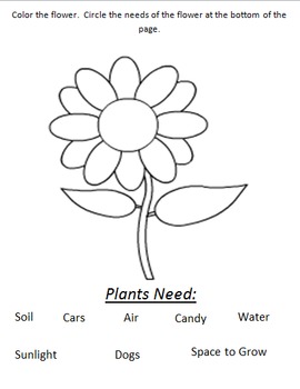 Download VAAP-Plant Needs by Kim's Creations for Exceptional Learners | TpT
