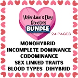 VALENTINE'S DAY GENETICS SYMBOLS PUNNETT SQUARE BUNDLE FUN