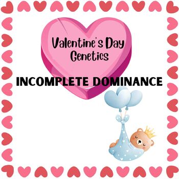 Preview of VALENTINE'S DAY GENETICS SYMBOLS PUNNETT SQUARE INCOMPLETE DOMINANCE TEDDY BEARS