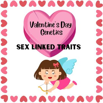 Preview of VALENTINE'S DAY GENETICS SYMBOLS PUNNETT SQUARE SEX-LINKED TRAITS CUPID