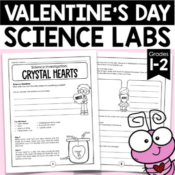 Preview of Valentine's Day Activities - 5 Science Experiments for First and Second Grades