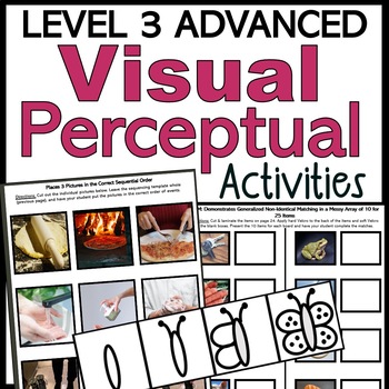 Preview of Advanced Visual Perceptual Skills Level 3