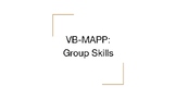 VB-MAPP Group Skill Assessment