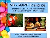 VB MAPP - Adapted Book/File Folders