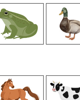 Preview of VBMAPP: LRFFC: Selects animals from array based on sound