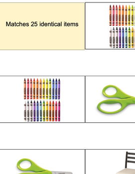 Preview of VBMAPP - VPMTS: matches identical items