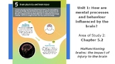VCE Psychology U1AOS2 - Acquired Brain Injury (ABI)