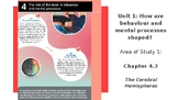 VCE Psychology U1AOS2 - Cerebral Hemispheres & Lobes