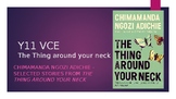 VCE Y11- The Thing Around your Neck by Chimamanda Adichie