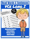 VCe/Long I Read Words & Sentences