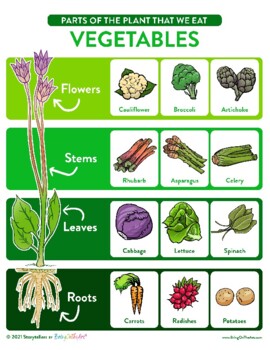 Preview of VEGETABLES POSTER: Parts of The Plant That We Eat