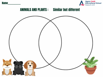 Preview of VENN DIAGRAM Comparing Animals and Plants