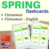 VIETNAMESE SPRING FLASH CARD | SPRING vietnamese Spring Se