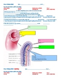 VILLI WORKSHEET