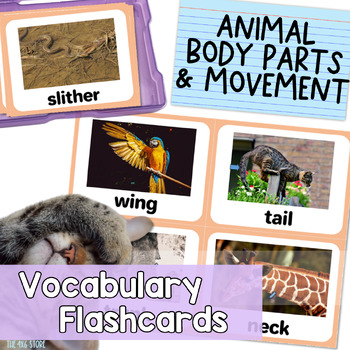 Preview of Animal Body Parts Movement Real Photo Vocabulary Flashcards for ESL Speech