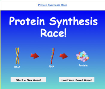 Protein Teaching Resources | TPT