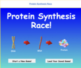 VIRTUAL - Bioman Protein Synthesis Webquest
