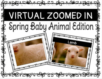 Preview of VIRTUAL ZOOMED IN - Spring Baby Animal Edition For In-Person & Distance Learning