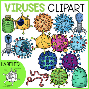 Preview of VIRUSES CLIP ART