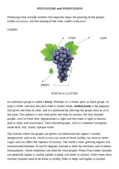 Preview of VITICULTURE / VINIFICATION / WINE REGIONS