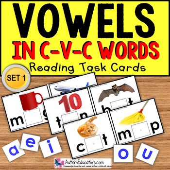 Preview of VOWELS in C-V-C Words Task Cards "TASK BOX FILLER" for  Autism Special Education