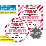 Student Valentines Day Tags Student Gift Student Treat Editable