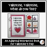 Valentine's Day Adapted Book: Valentine, Valentine, What d