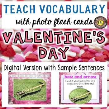 Preview of Valentine's Day Digital Photo Flash Cards with Sample Sentences