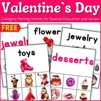 Preview of Speech Therapy Valentine`s Day Activity Autism Category Sorting Objects FREE