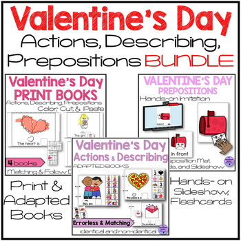 Preview of Valentine's Day Adapted Books Preposition, Action, Describe Print Bundle SPED