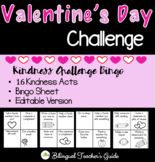 Valentine's Day Bingo Kindness Challenge