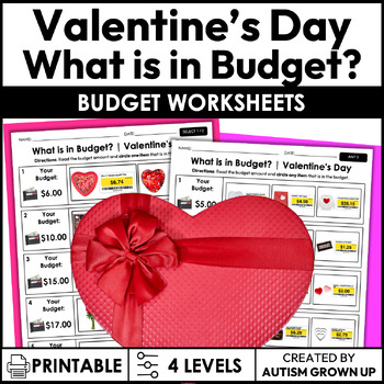Preview of Valentine's Day Budget | Life Skills Worksheets for Special Education